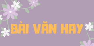 Đến với bài Văn hay của HSG Văn