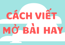 Mở bài hay bằng lý luận văn học