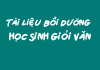Tài liệu Bồi Dưỡng HSG Văn – Nghị luận xã hội