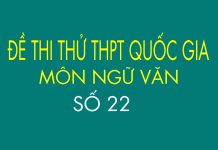 Đề thi thử môn Văn Quốc Gia số 22