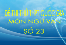 Đề thi thử môn Văn THPT Quốc Gia số 23