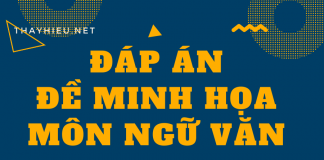 Đáp án đề minh họa môn Ngữ văn năm 2020 của Bộ GD & ĐT