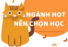 Ngành hot nên chọn học