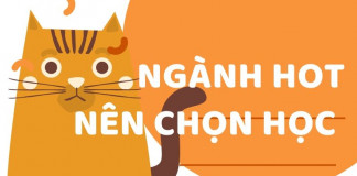 Ngành hot nên chọn học
