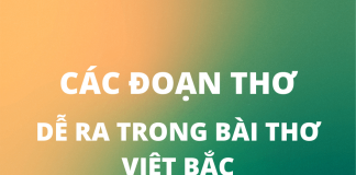 Các đoạn thơ trong bài thơ Việt Bắc thường ra đề