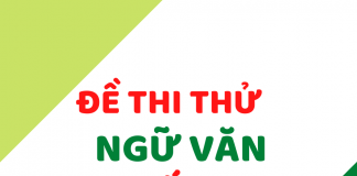 Đề thi môn Ngữ văn số 27 theo mẫu mới