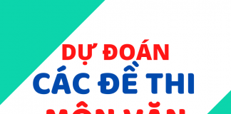 Dự đoán các đề thi văn xuôi sẽ xuất hiện trong kỳ thi tốt nghiệp