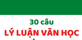 30 câu nhận định phê bình giúp tăng cường lý luận văn học cho bài làm