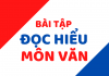 Bài tập đọc hiểu môn Văn mẫu mới