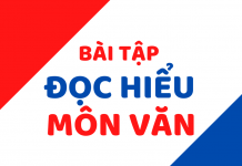 Bài tập đọc hiểu môn Văn mẫu mới