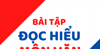 Bài tập đọc hiểu môn Văn mẫu mới
