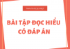 Bài tập đọc hiểu có đáp án mẫu 2020
