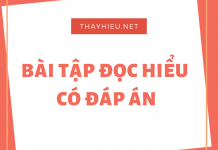 Bài tập đọc hiểu có đáp án mẫu 2020