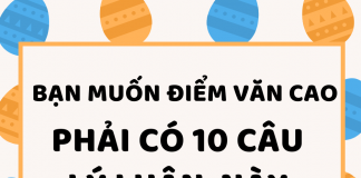 10 câu lý luận văn học giúp bài văn trở nên sâu sắc