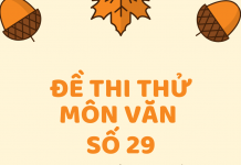 Đề thi thử môn Văn số 29