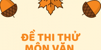 Đề thi thử môn Văn số 29