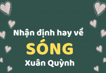 Nhất định phải nhớ những nhận định này về Sóng của Xuân Quỳnh