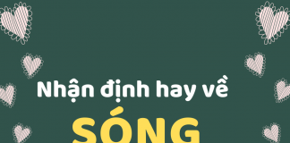 Nhất định phải nhớ những nhận định này về Sóng của Xuân Quỳnh