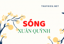 Phân tích khổ thơ 5 và 6 trong bài thơ Sóng – Xuân Quỳnh