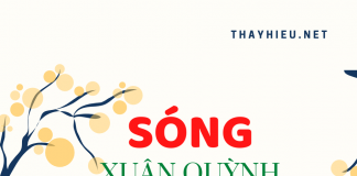 Phân tích khổ thơ 5 và 6 trong bài thơ Sóng – Xuân Quỳnh