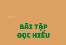 Bài tập đọc hiểu môn văn có đáp án cực hay