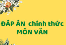 Đáp án chính thức môn Văn của Bộ năm 2021