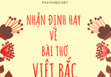 Những lời bình hay nhất về Việt Bắc