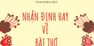 Những lời bình hay nhất về Việt Bắc