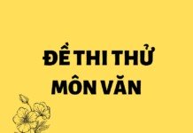 Đề thi thử tốt nghiệp môn Văn số 30