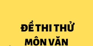 Đề thi thử tốt nghiệp môn Văn số 30