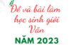 Hai cựu HSG Quốc gia giải thử đề Văn HSG Quốc gia năm 2023