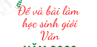 Hai cựu HSG Quốc gia giải thử đề Văn HSG Quốc gia năm 2023