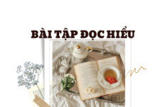 Bài tập đọc hiểu thi tốt nghiệp năm 2024