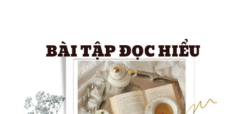 Bài tập đọc hiểu thi tốt nghiệp năm 2024