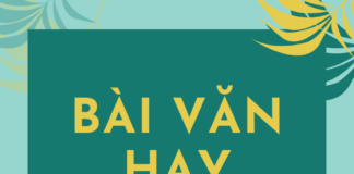 Bài làm của học sinh giỏi Văn