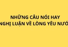 Những câu nói hay về lòng yêu nước