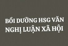 Chuyên đề Bồi dưỡng HSG Văn – Nghị luận XH