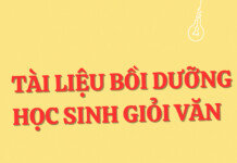 Bồi dưỡng học sinh giỏi Văn – Nghị luận xã hội.