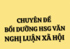 Chuyên đề Bồi dưỡng học sinh giỏi – Nghị luận xã hội.