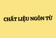 Chất liệu ngôn từ – linh hồn của văn học