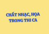 Lý luận văn học – Chất nhạc và họa trong thơ
