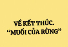 BÀN VỀ ĐOẠN KẾT TÁC PHẨM “MUỐI CỦA RỪNG” (Nguyễn Huy Thiệp)