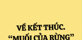 BÀN VỀ ĐOẠN KẾT TÁC PHẨM “MUỐI CỦA RỪNG” (Nguyễn Huy Thiệp)