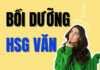 Bồi dưỡng lý luận văn học