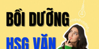 Bồi dưỡng lý luận văn học