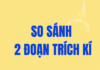So sánh nghệ thuật trần thuật trong hai đoạn trích “Nhật kí Đặng Thùy Trâm” và “Một lít nước mắt”
