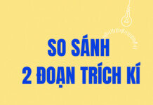 So sánh nghệ thuật trần thuật trong hai đoạn trích “Nhật kí Đặng Thùy Trâm” và “Một lít nước mắt”