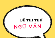 Đề – Đáp án thi thử TN THPT môn Ngữ văn số 1