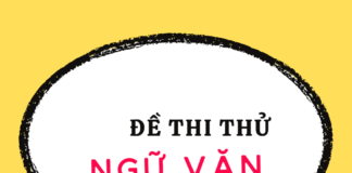 Đề – Đáp án thi thử TN THPT môn Ngữ văn số 1
