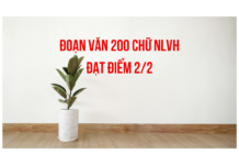 Cách viết đoạn văn 200 chữ NLVH đạt điểm tuyệt đối